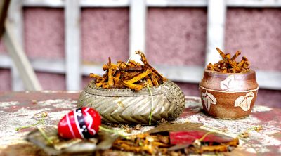 Still Life