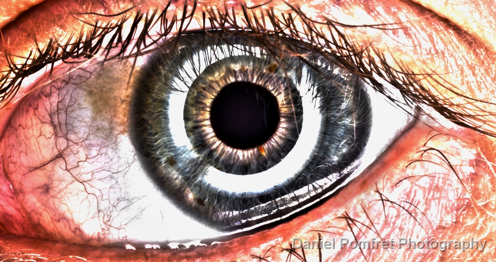 Eye 02_2014792