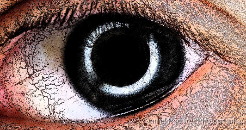 Eye 03_2014792