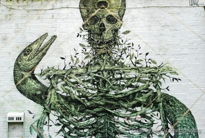 Alexis Diaz, Graffiti