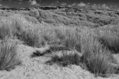 Camber Sands, Dunes, East Sussex, England, UK, B&W 2015172