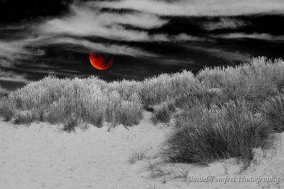 Supermoon, Lunar, Eclipse, Full Moon, Dunes