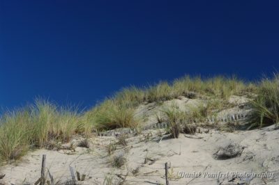 Carcans, Plage, Beach, France, 001