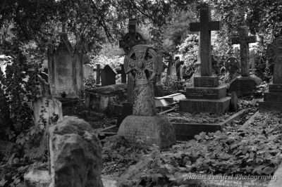 Cross Headstone, Parish Church, St John, Hampstead, London, B&W, 2014816