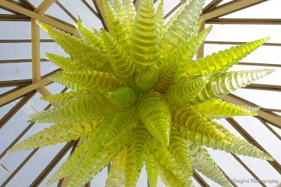 Dale Chihuly, Sculptures, Chartreuse Hornet Polyvitro, Kew Gardens, London_15221