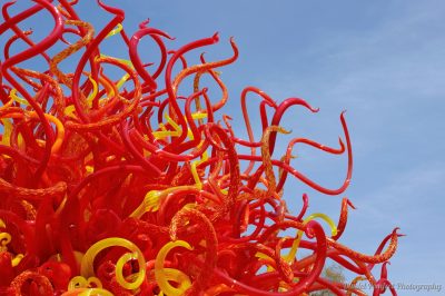 Dale Chihuly, Sculptures, Summer Sun, Kew Gardens, London_1490