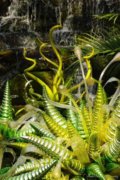 Dale Chihuly, Sculptures, Chartreuse Hornet Polyvitro, Kew Gardens, London_15301