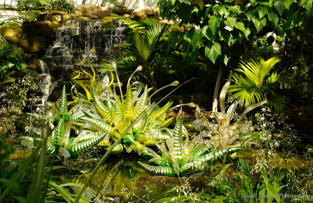 Dale Chihuly, Sculptures, Chartreuse Hornet Polyvitro, Kew Gardens, London_15261