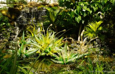 Dale Chihuly, Sculptures, Chartreuse Hornet Polyvitro, Kew Gardens, London_15261
