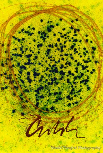 Dale Chihuly, Sculptural, Glass, Works, 0K30429
