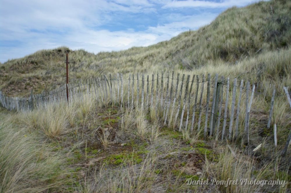 Sand, Dunes, Holy Island, Northumberland, UK, Beaches, 002