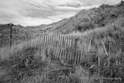 Sand Dunes, Holy Island, Northumberland, UK, 014