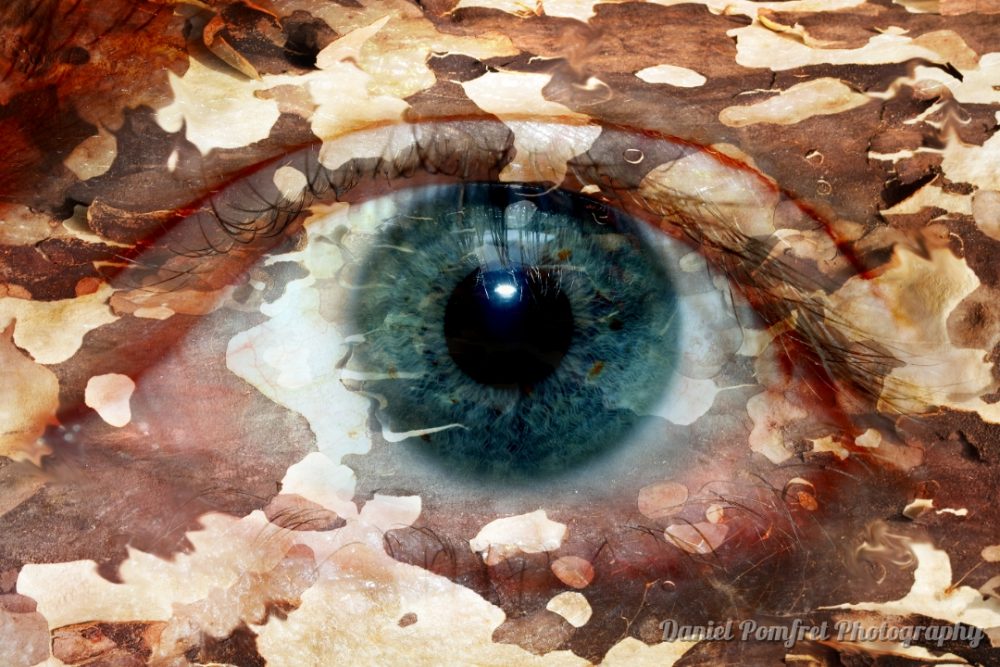 The Human Eye