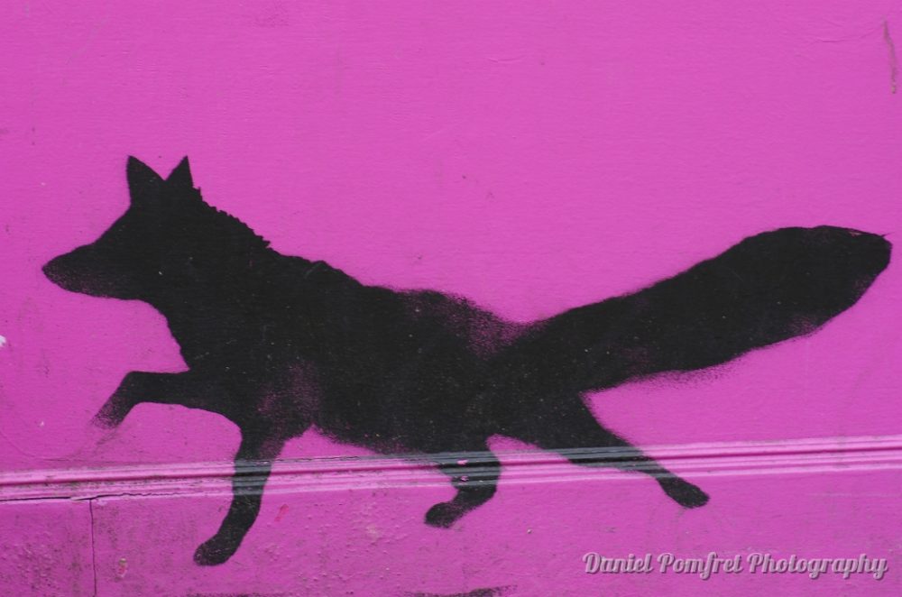 Fox Stencil, Street Art, Graffiti, Pembridge Road, London 3994