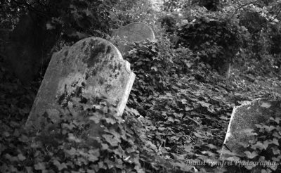 Cemeteries & Gothic Decor