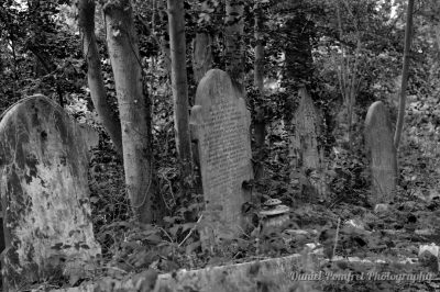 Headstone, Gravestone, Nunhead Cemetery, London B&W, 2014977