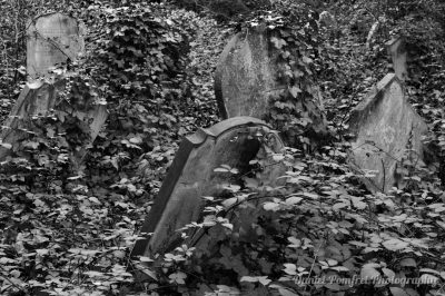 Headstone, Gravestone, Nunhead Cemetery, London B&W, 2015087