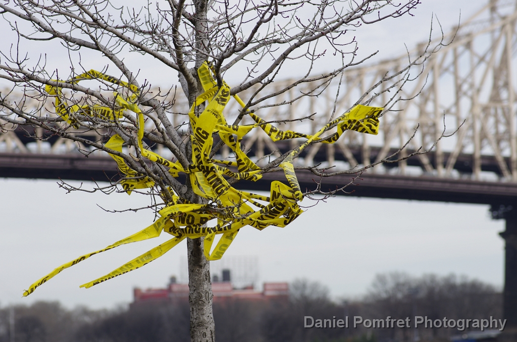 Roosevelt Island, New York City, NYC2086