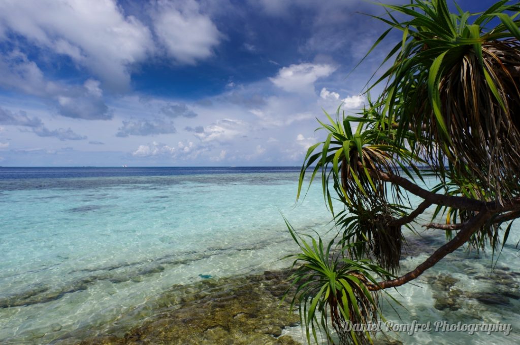 Seascapes, Vilamendhoo, Island, Maldives, South Atoll, 2016262
