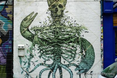 Street Art by Alexis Diaz, Graffiti, Brick Lane, London