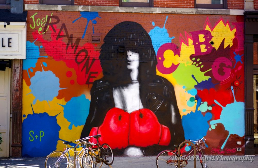 Joey Ramone by Crash Solus, Jaime Rojo, Street Art, New York_001