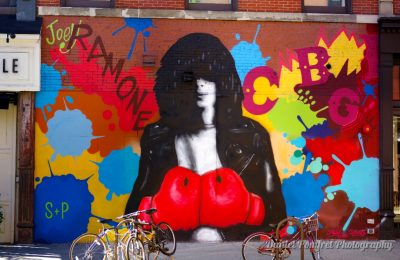Joey Ramone by Crash Solus, Jaime Rojo, Street Art, New York_001